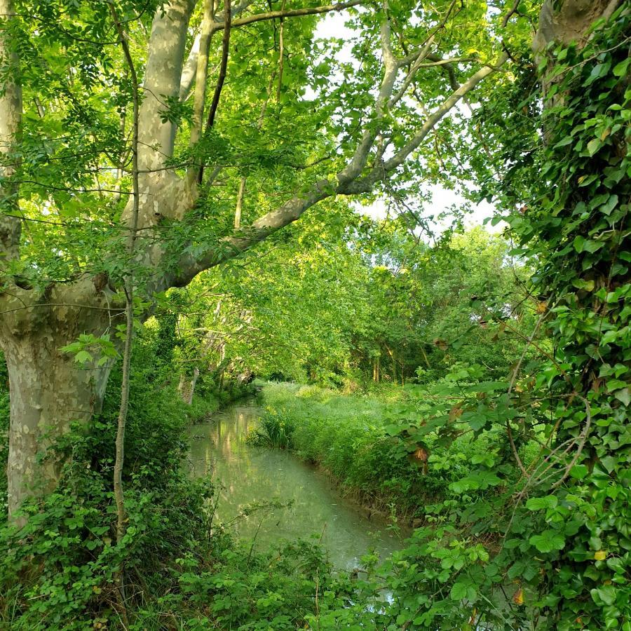 Bastide Philomen Villa Pérols Kültér fotó